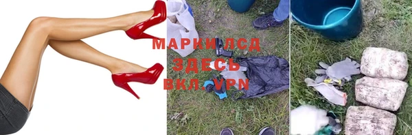 индика Балабаново