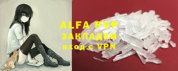 индика Балабаново