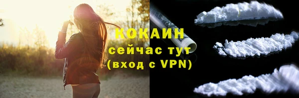 индика Балабаново