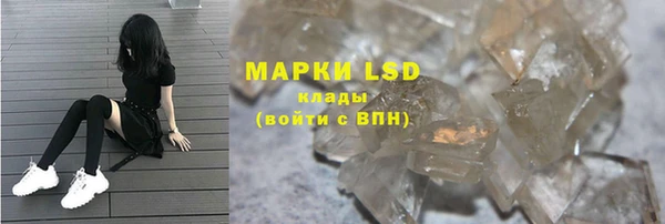 индика Семилуки