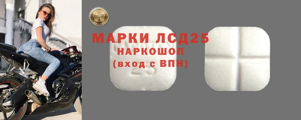 индика Балабаново