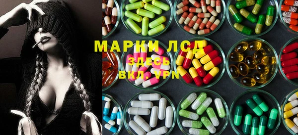 индика Балабаново