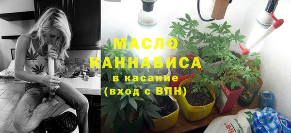 индика Балабаново