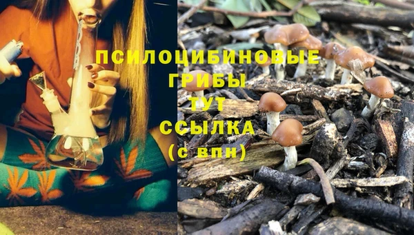 стаф Балахна