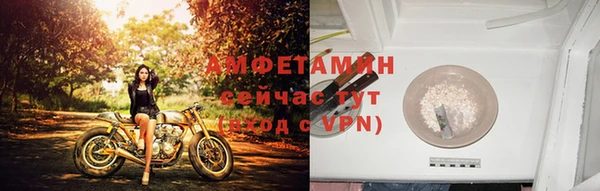 индика Балабаново