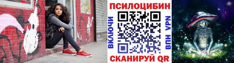 цена наркотик  Гусев  omg рабочий сайт  Галлюциногенные грибы Cubensis 