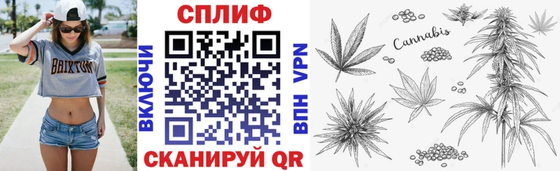 Шишки марихуана Amnesia  Гусев 